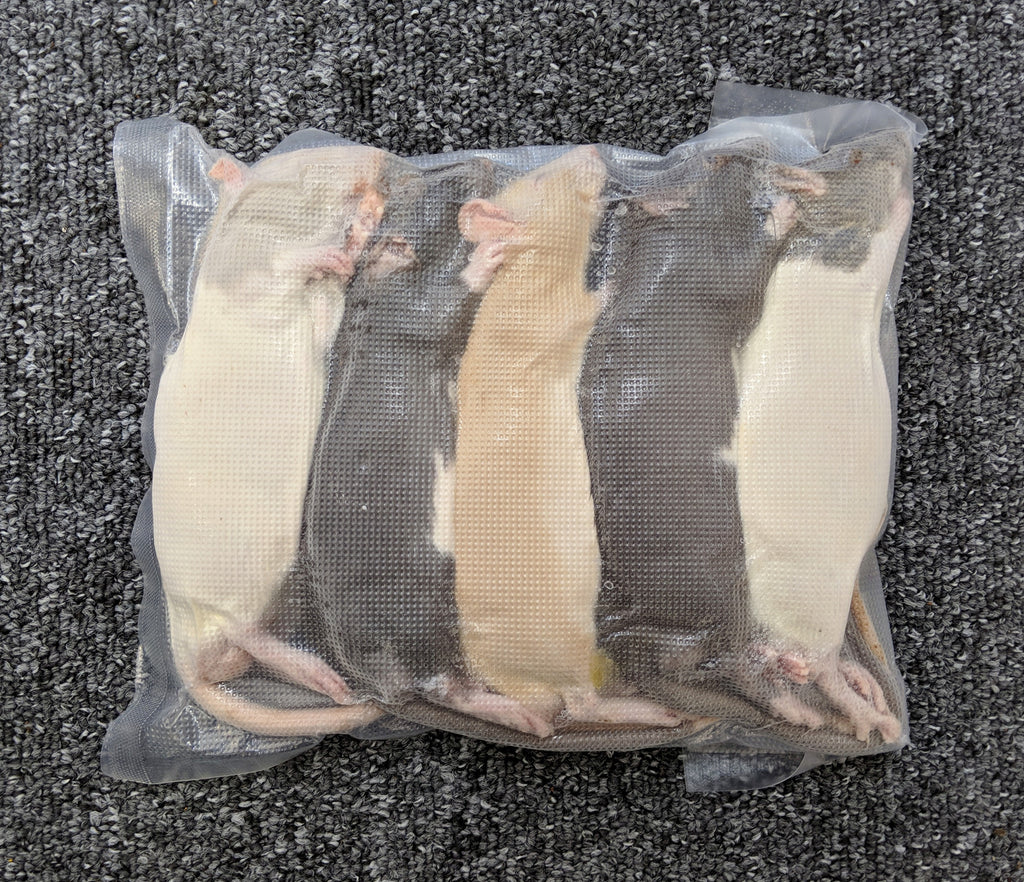 Frozen Small Rats 80-129g - Pack of 5 - BloodBall Reptiles – Rattlesnacks