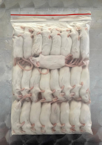 Medium Mice - 16-20g - Pack of 25
