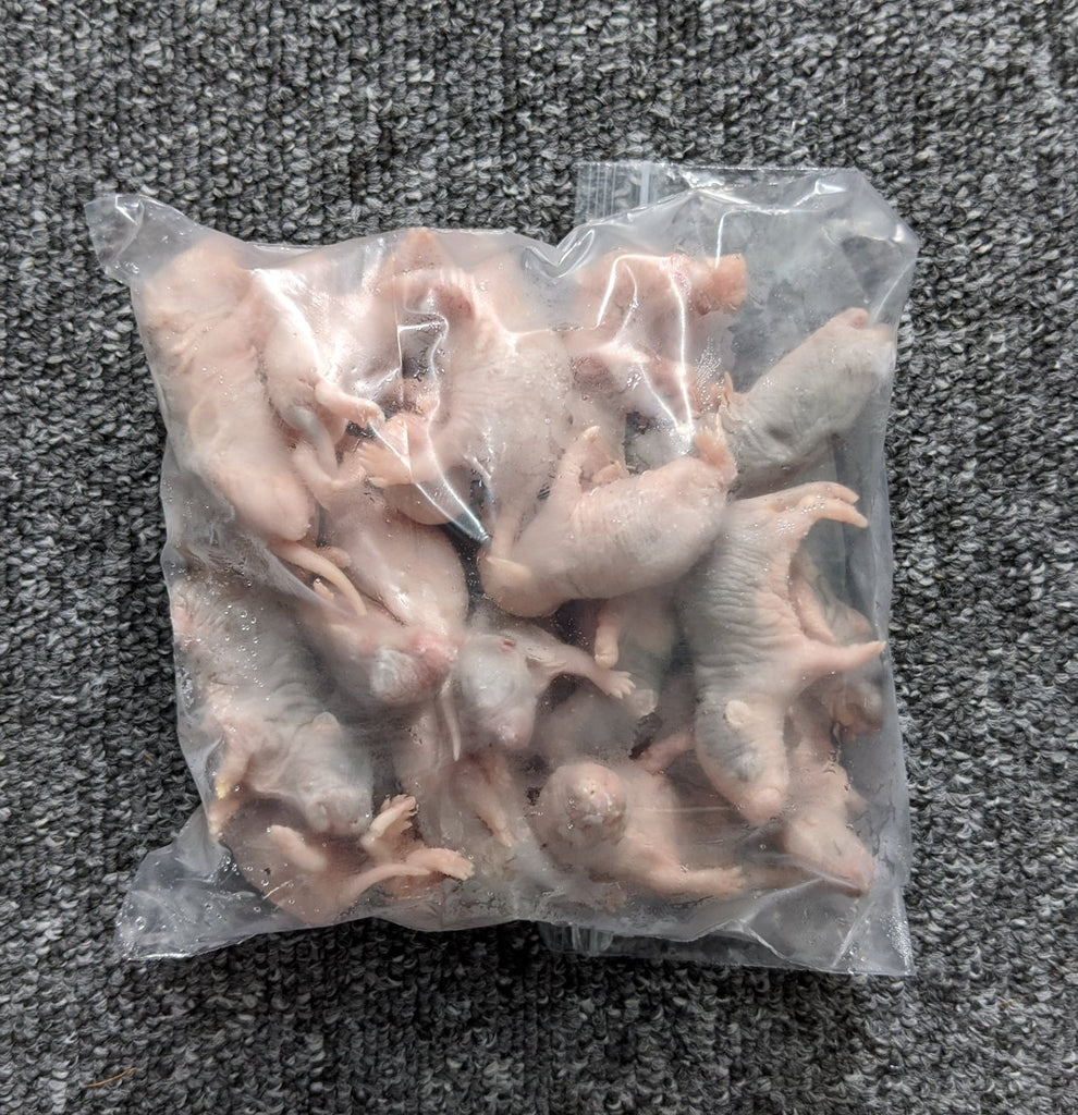 Frozen Rat Pups - 5-9g - 25 Pack - BloodBall Reptiles – Rattlesnacks - Post Thaw Feeding Protocol For Rat Pups